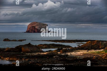 Bass Rock Gannet Kolonie und Ufer beleuchtet von warmem Licht, das von der niedrig untergehenden Sonne unter einem grauen bewölkten Himmel fällt. Stockfoto