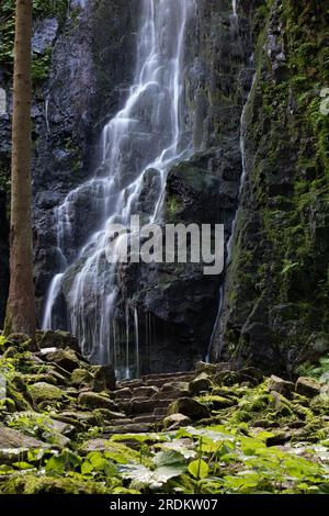 Der Burgbach-Wasserfall im Nadelwald fällt über Granitfelsen in das Tal in der Nähe von Bad Rippoldsau-Schapbach, eine Landschaft aus der Natur, Blac Stockfoto