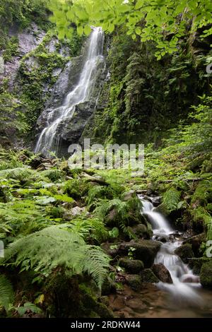 Der Burgbach-Wasserfall im Nadelwald fällt über Granitfelsen in das Tal in der Nähe von Bad Rippoldsau-Schapbach, eine Landschaft aus der Natur, Blac Stockfoto