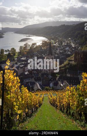 Bacharach-Antenne mit Panoramablick. Bacharach ist eine Kleinstadt im Rheintal im Herbst in den Weinbergen von Rheinland-Pfalz Stockfoto