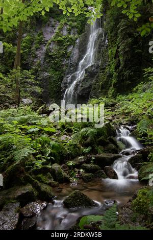 Der Burgbach-Wasserfall im Nadelwald fällt über Granitfelsen in das Tal in der Nähe von Bad Rippoldsau-Schapbach, eine Landschaft aus der Natur, Blac Stockfoto
