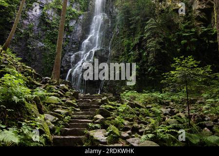 Der Burgbach-Wasserfall im Nadelwald fällt über Granitfelsen in das Tal in der Nähe von Bad Rippoldsau-Schapbach, eine Landschaft aus der Natur, Blac Stockfoto