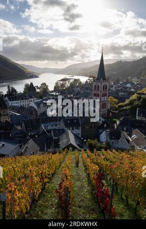 Bacharach-Antenne mit Panoramablick. Bacharach ist eine Kleinstadt im Rheintal im Herbst in den Weinbergen von Rheinland-Pfalz Stockfoto