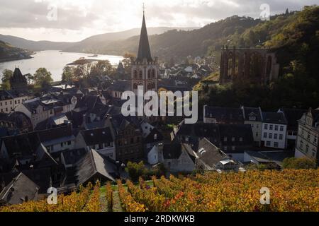 Bacharach-Antenne mit Panoramablick. Bacharach ist eine Kleinstadt im Rheintal im Herbst in den Weinbergen von Rheinland-Pfalz Stockfoto