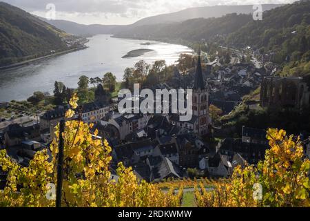 Bacharach-Antenne mit Panoramablick. Bacharach ist eine Kleinstadt im Rheintal im Herbst in den Weinbergen von Rheinland-Pfalz Stockfoto