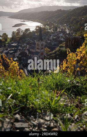 Bacharach-Antenne mit Panoramablick. Bacharach ist eine Kleinstadt im Rheintal im Herbst in den Weinbergen von Rheinland-Pfalz Stockfoto