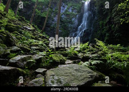 Der Burgbach-Wasserfall im Nadelwald fällt über Granitfelsen in das Tal in der Nähe von Bad Rippoldsau-Schapbach, eine Landschaft aus der Natur, Blac Stockfoto