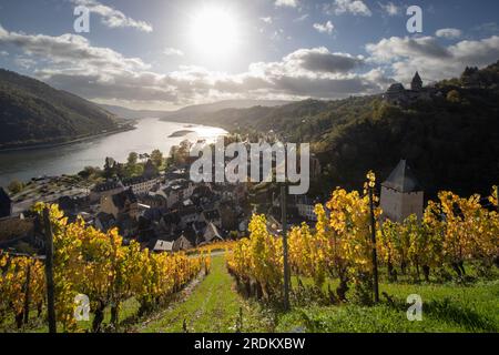 Bacharach-Antenne mit Panoramablick. Bacharach ist eine Kleinstadt im Rheintal im Herbst in den Weinbergen von Rheinland-Pfalz Stockfoto