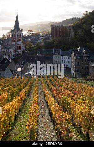 Bacharach-Antenne mit Panoramablick. Bacharach ist eine Kleinstadt im Rheintal im Herbst in den Weinbergen von Rheinland-Pfalz Stockfoto