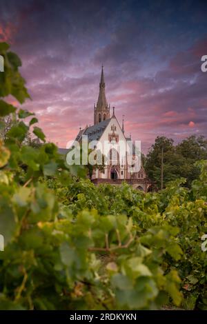 Wallfahrtskirche St. Rochus-Kapelle in Bingen am Rhein. Schöne grüne Weinberge in Deutschland Stockfoto