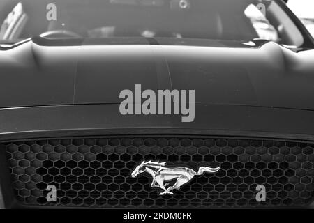 Nahansicht des einfarbigen Logos von Ford Mustang auf der Motorhaube. Ford Mustang ist eine Serie amerikanischer Automobile, die von Ford hergestellt werden. Stockfoto