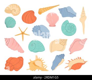 Cartoon Muscheln, Austern und Muscheln. Stock Vektor