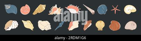 Tropische Muschel. Cartoon-Muschel, Auster Stock Vektor