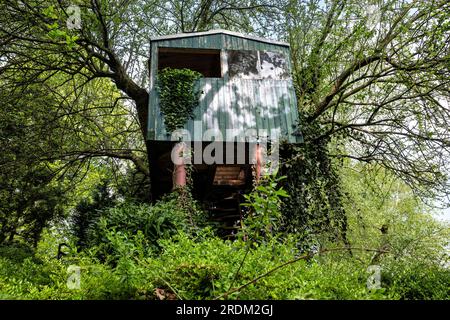 Baumhaus im Wald Stockfoto
