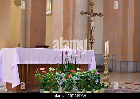 Wien, Österreich. 19. Juli 2023. Pfarrkirche St. Francis von Assisi Stockfoto