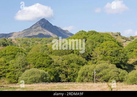 Cnicht Mountain, Snowdonia „eryri“ National Park, Nordwales, Großbritannien Stockfoto