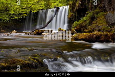 Blick auf Sgwd Ddwli Uchaf oder Upper Gushing Falls am Afon Nedd im Neath Valley, South Wales, Großbritannien Stockfoto