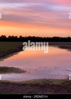 Dorney, Buckinghamshire, Großbritannien. 9. Juli 2023. Die Sonne geht über einem neuen Flutwassersee auf Dorney Common unter. Das Wasser der Themse darf überschüssiges Regenwasser in den nahe gelegenen Roundmoor Graben ableiten, und die Einheimischen, die im Dorf Eton Wick leben, mit Grundstücken, die zurück auf den Roundmoor Graben zurückgehen, klagen über den Gestank von Abwasser aus dem Wasser. Kredit: Maureen McLean/Alamy Stockfoto