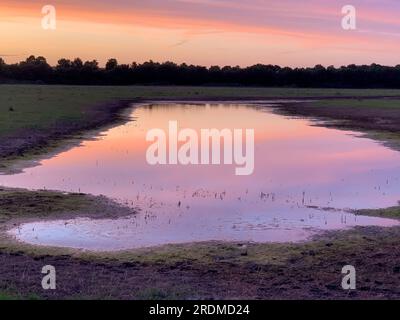 Dorney, Buckinghamshire, Großbritannien. 9. Juli 2023. Die Sonne geht über einem neuen Flutwassersee auf Dorney Common unter. Das Wasser der Themse darf überschüssiges Regenwasser in den nahe gelegenen Roundmoor Graben ableiten, und die Einheimischen, die im Dorf Eton Wick leben, mit Grundstücken, die zurück auf den Roundmoor Graben zurückgehen, klagen über den Gestank von Abwasser aus dem Wasser. Kredit: Maureen McLean/Alamy Stockfoto