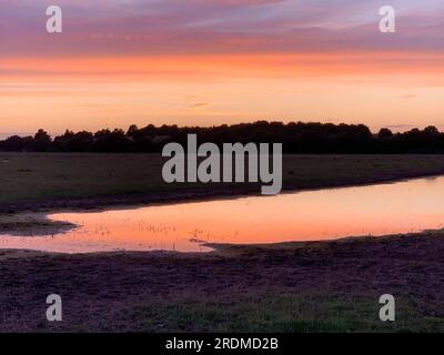 Dorney, Buckinghamshire, Großbritannien. 9. Juli 2023. Die Sonne geht über einem neuen Flutwassersee auf Dorney Common unter. Das Wasser der Themse darf überschüssiges Regenwasser in den nahe gelegenen Roundmoor Graben ableiten, und die Einheimischen, die im Dorf Eton Wick leben, mit Grundstücken, die zurück auf den Roundmoor Graben zurückgehen, klagen über den Gestank von Abwasser aus dem Wasser. Kredit: Maureen McLean/Alamy Stockfoto