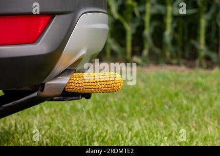 Auspuffrohr des Fahrzeugs mit Maiskolben. Konzept für Ethanol, Biokraftstoffe, erneuerbare Energien und Landwirtschaft. Stockfoto
