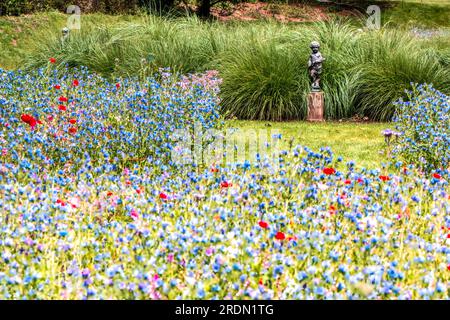 Bunte Blumen in den Gärten von Kingston Lacey, Wimborne Minster, Dorset, Großbritannien Stockfoto