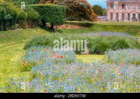 Bunte Blumen in den Gärten von Kingston Lacey, Wimborne Minster, Dorset, Großbritannien Stockfoto