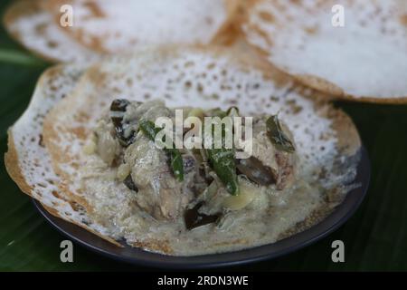 Reiskuchen mit Schnürsenkel serviert mit kerala-Hühnereintopf. Fermentierte Reispfannkuchen aus fermentiertem Reisteig und Kokosmilch. Lieblingsfrühstück Stockfoto