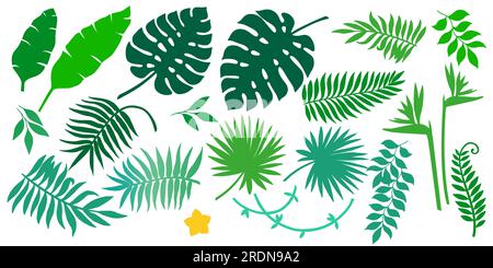Vektorset verschiedener tropischer Pflanzen, Blätter und Blüten. Exotische Sommerelemente für Einladungen, Poster, Hintergründe Stock Vektor