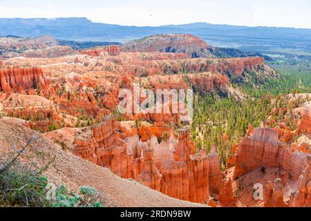 Im berühmten Bryce Canyon National Park in Utah, USA, sind großartige Turmspitzen aus der Erosion entstanden. Stockfoto