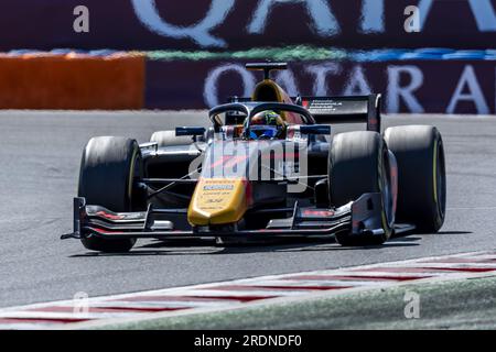 11 IWASA Ayumu (jpn), DAMS, Dallara F2, Action während der 9. Runde der FIA-Formel-2-Meisterschaft 2023 vom 21. Bis 23. Juli 2023 auf dem Hungaroring in Mogyorod, Ungarn Stockfoto