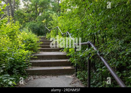 Idyllischer Blick auf eine alte Steintreppe in einem öffentlichen Park mit grüner Vegetation Stockfoto