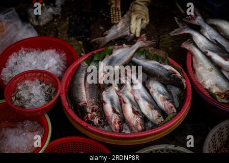 Phnom Penh, Kambodscha. 22. Juli 2023. Fisch wird auf einem Frischmarkt zum Verkauf angeboten. Kredit: SOPA Images Limited/Alamy Live News Stockfoto