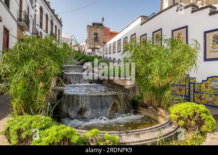 Berühmte Straße Paseo de Canarias in Firgas, Gran Canaria, Kanarische Inseln, Spanien Stockfoto