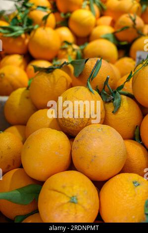 Frische reife organische spanische Orangen Zitrusfrüchte auf dem Markt aus nächster Nähe Stockfoto