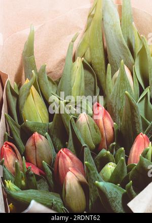 Ein Strauß orangefarbener Tulpen in handwerklichem Papier liegt auf dem Tisch, Nahaufnahme Stockfoto