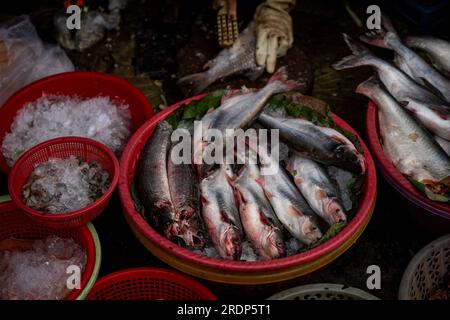 Phnom Penh, Kambodscha. 22. Juli 2023. Fisch wird auf einem Frischmarkt zum Verkauf angeboten. (Foto: Matt Hunt/SOPA Images/Sipa USA) Guthaben: SIPA USA/Alamy Live News Stockfoto