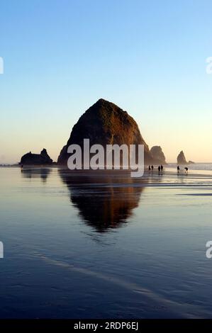 Heuhaufen-Felsen und Skimboarder am Cannon Beach, OR Stockfoto