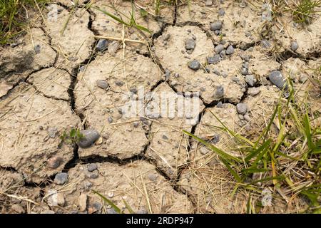 Trocken gerissener Boden mit Felsen und Gras - fotorealistisches Bild - natürliches Licht - Tagsüber Stockfoto