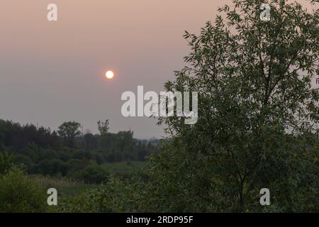 Sonnenaufgang oder Sonnenuntergang über ländlicher Landschaft mit Baum im Vordergrund und Feldern im Hintergrund Stockfoto