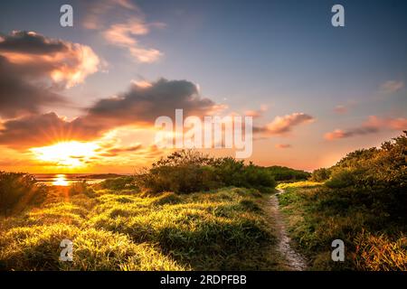 Sonnenuntergang am Strand auf Mauritius. Diese wunderschönen Sonnenuntergänge an solchen Traumstränden finden Sie nur hier Stockfoto