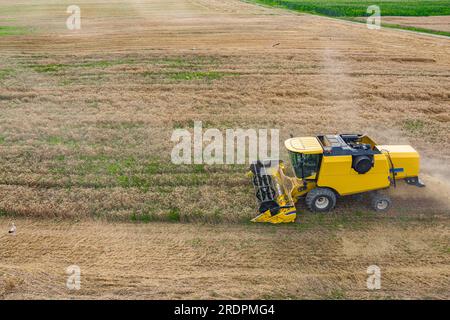 Draufsicht, Mähdrescher im Weizenfeld Stockfoto