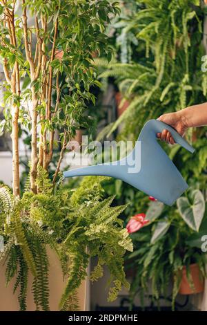 Hand mit Wasserkanister zum Bewässern von Zimmerpflanzen Stockfoto