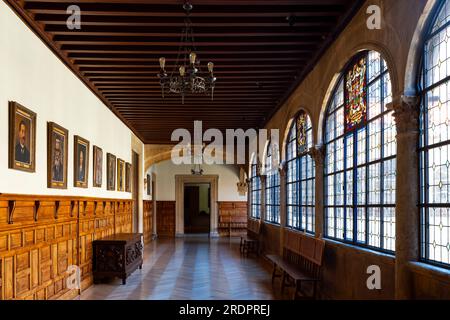 Innenhof des Renaissance-Gebäudes Palacio de los Guzmanes in der Altstadt von León, Castilla y Leon, Spanien. Jetzt Sitz der Provinzregierung von Le Stockfoto