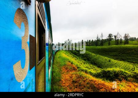 Sri Lanka Kandy Zugfahrt. Diese Route über die Berge Sri Lankas von ella nach Kandy. Teeplantagen, Wasserfälle und tolle Landschaften Stockfoto