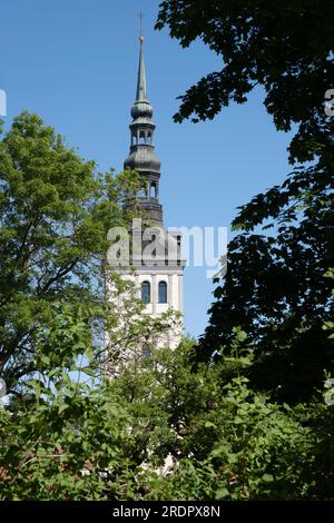 Turm mit Turm des mittelalterlichen St. Nicholas-Kirche (Estnisch: Niguliste Kirik) zwischen den Bäumen in Tallinn. Derzeit ein Museum und Konzertsaal Stockfoto