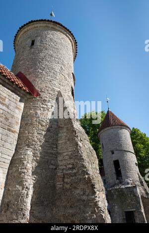 Mittelalterliches Viru-Tor in der Altstadt der estnischen Hauptstadt Tallinn Stockfoto