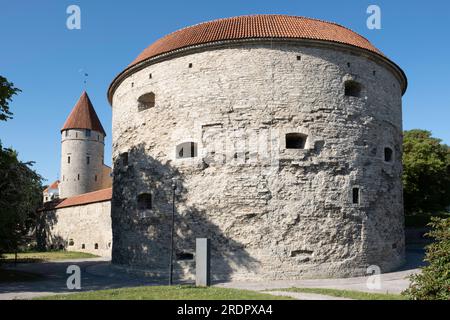 Fat Margaret Tower, Heimat des Estnischen Meeresmuseums, ein Turm in Tallinn, Estland Stockfoto