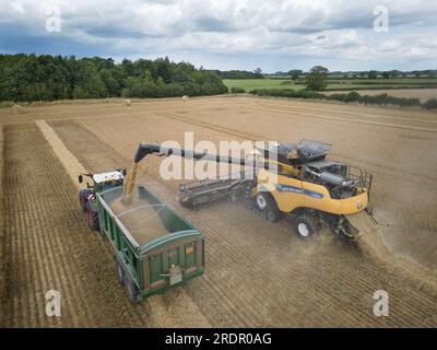 21. Juli 2023 New Holland CR990 mit einem MacDon-Schneidwerk für die Ernte von Wintergerste in South Lincolnshire Stockfoto