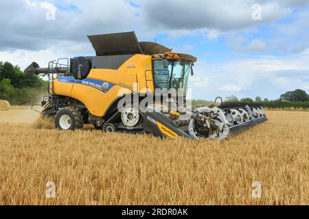 21. Juli 2023 New Holland CR990 mit einem MacDon-Schneidwerk für die Ernte von Wintergerste in South Lincolnshire Stockfoto